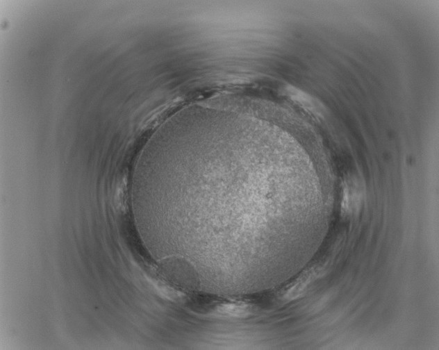 X0000064740364200602171713