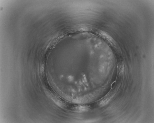 X0000064740365200602171713