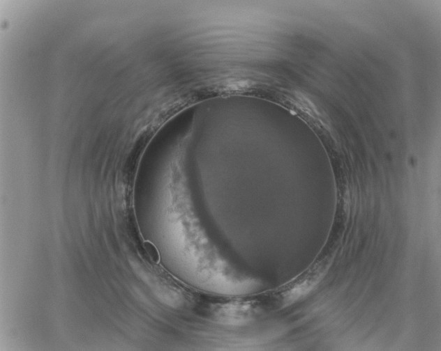 X0000064740366200602171713