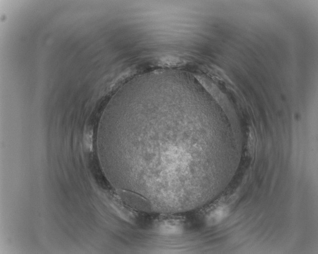 X0000064740368200602171713