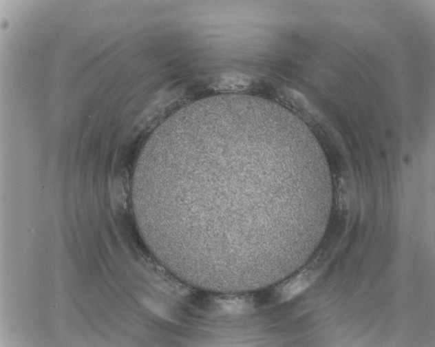 X0000064740370200602171713