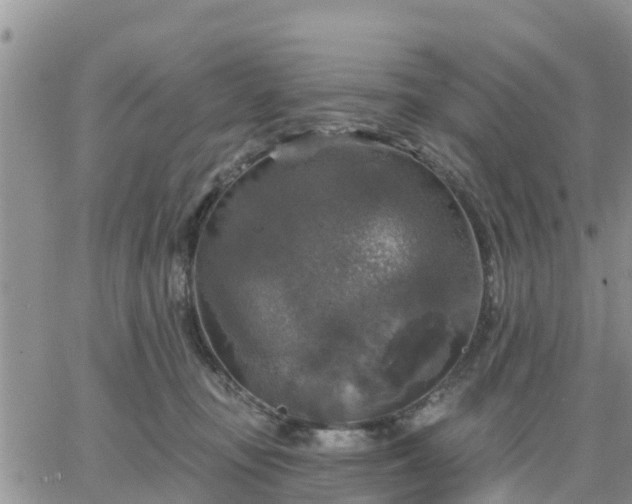 X0000064740371200602171713