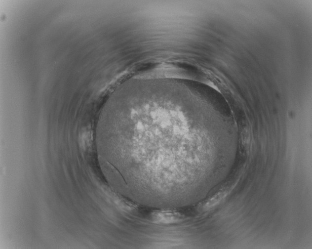 X0000064740372200602171713