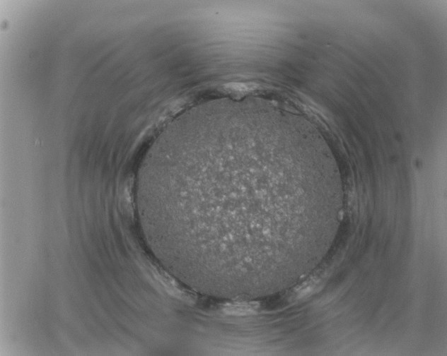 X0000064740373200602171713