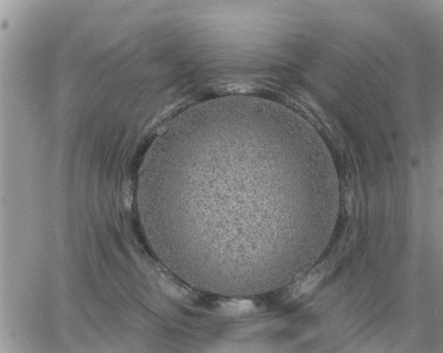 X0000064740374200602171713