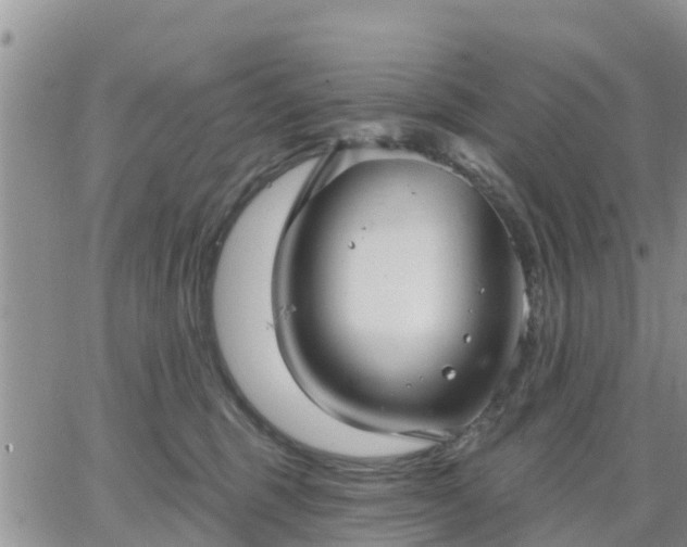 X0000064740375200602171713