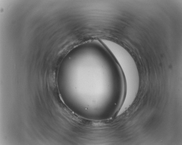 X0000064740376200602171713