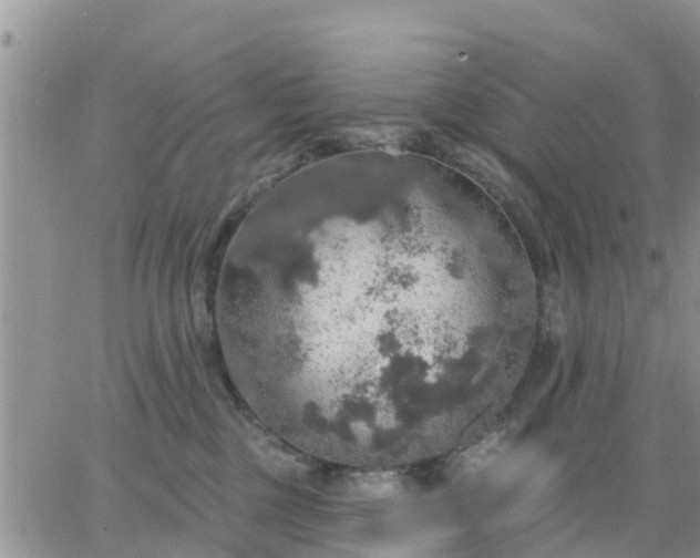 X0000064740377200602171713