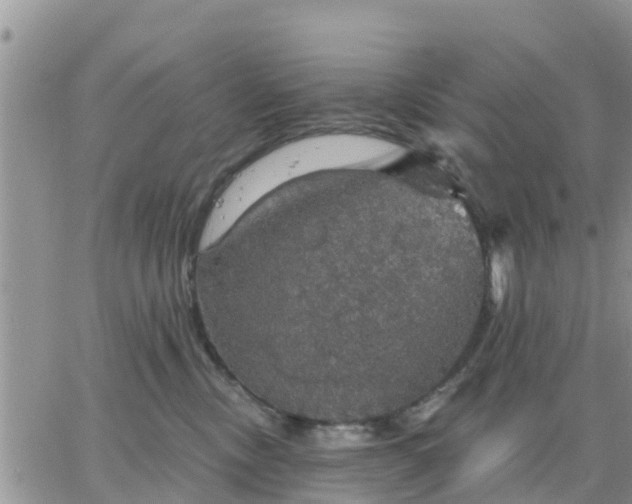 X0000064740378200602171713