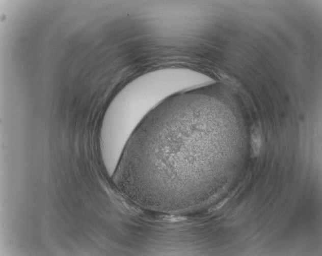 X0000064740379200602171713