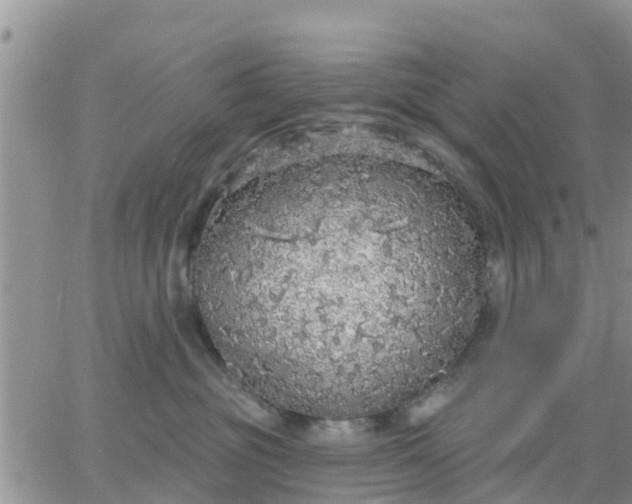 X0000064740381200602171713