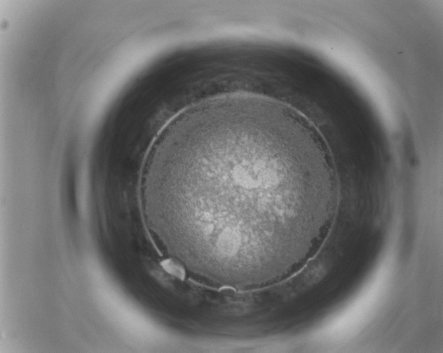 X0000064740382200602171713