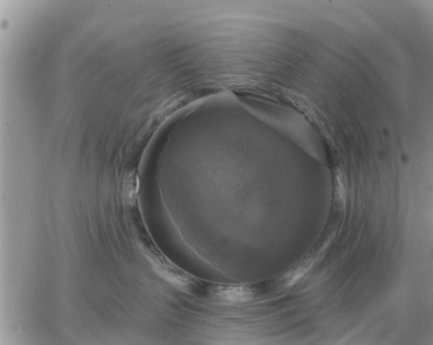 X0000064740383200602171713