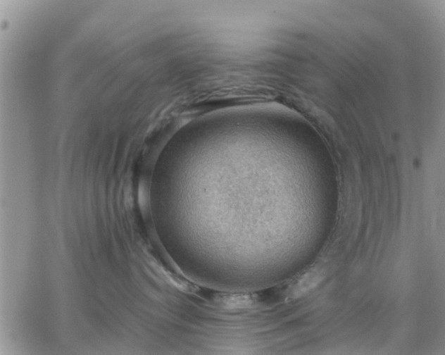 X0000064740384200602171714