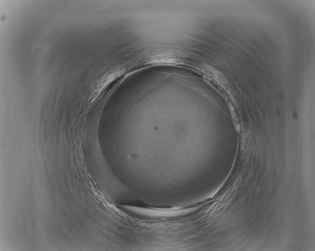 X0000064740385200602171713