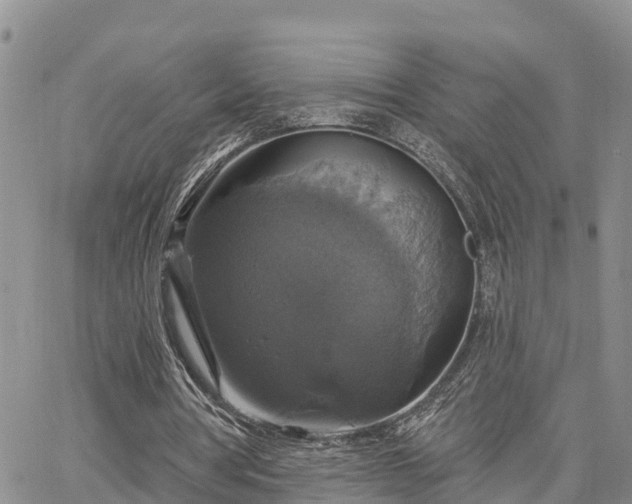 X0000064740386200602171713