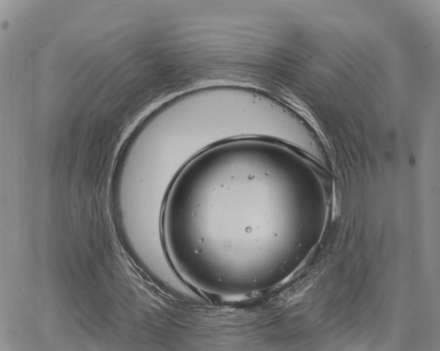 X0000064740387200602171713