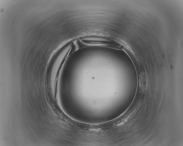 X0000064740388200602171713