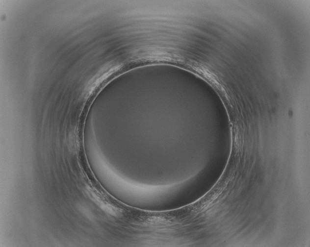 X0000064740390200602171713