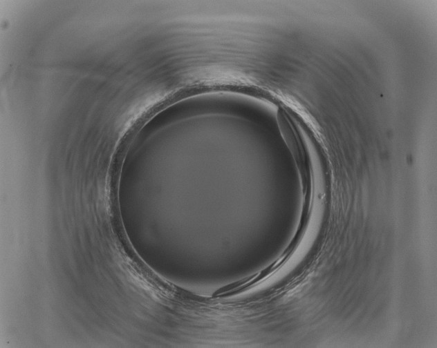 X0000064740391200602171713