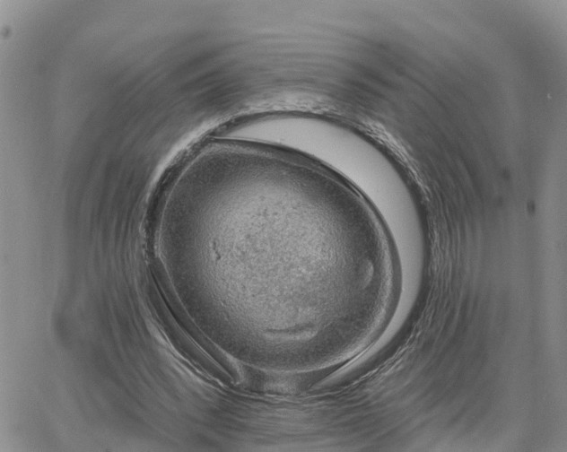 X0000064740392200602171713