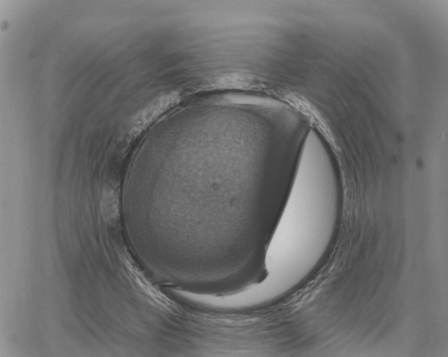 X0000064740393200602171713