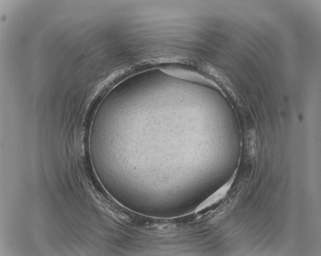 X0000064740395200602171713