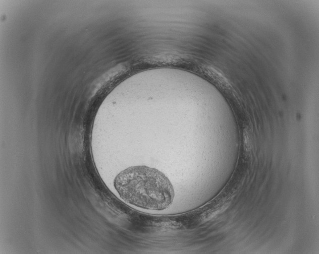 X0000064740396200602171713