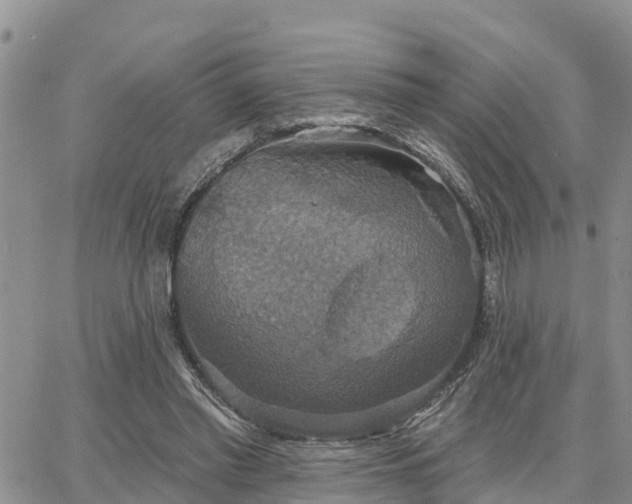 X0000064740397200602171713