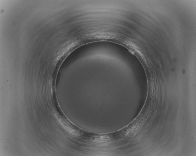 X0000064740398200602171713