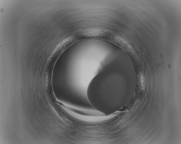 X0000064740400200602171712