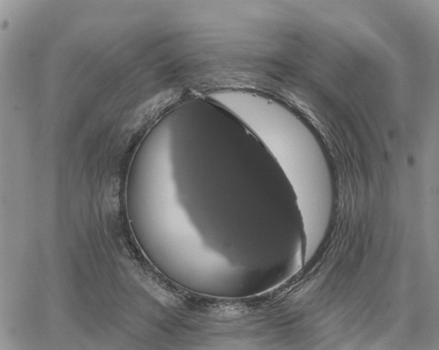 X0000064740402200602171712