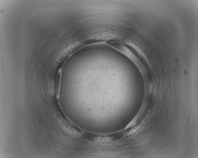 X0000064740403200602171712