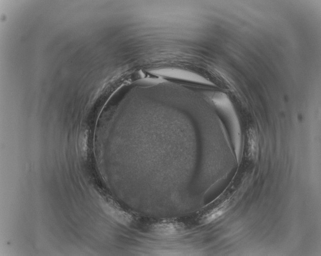 X0000064740404200602171712