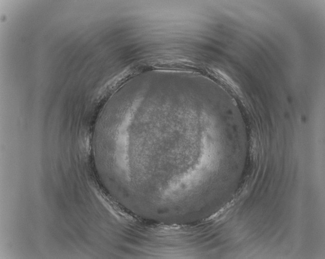 X0000064740405200602171712