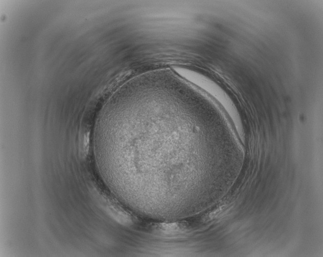 X0000064740406200602171712