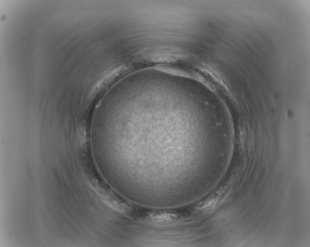 X0000064740407200602171712