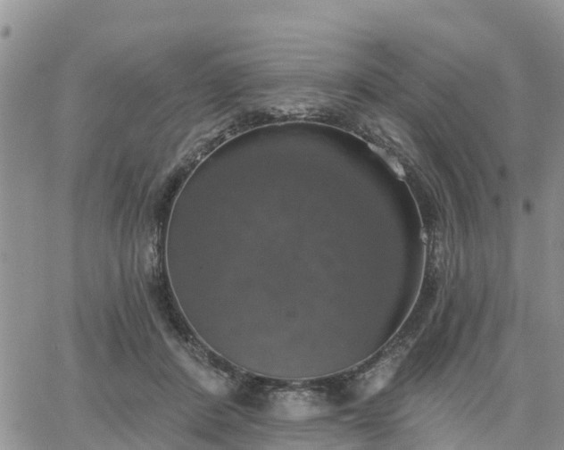 X0000064740408200602171712