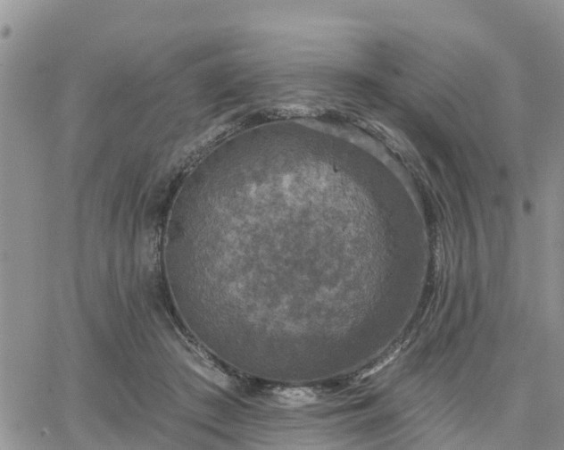 X0000064740409200602171712