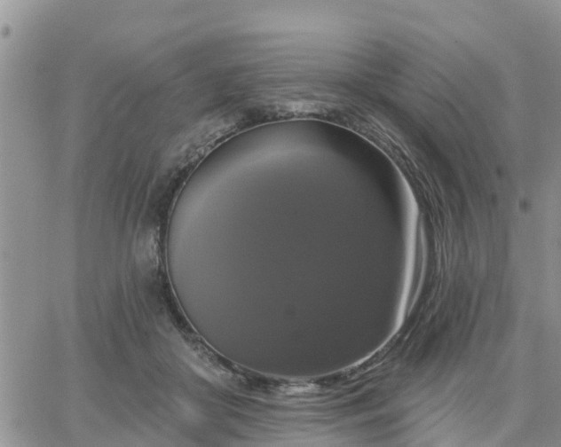 X0000064740410200602171712