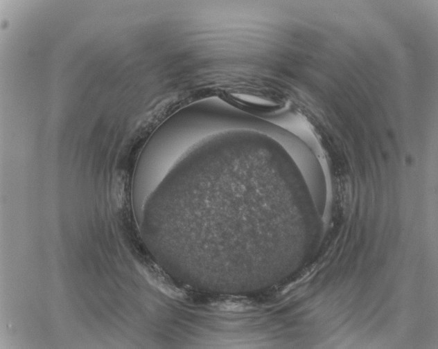 X0000064740412200602171712