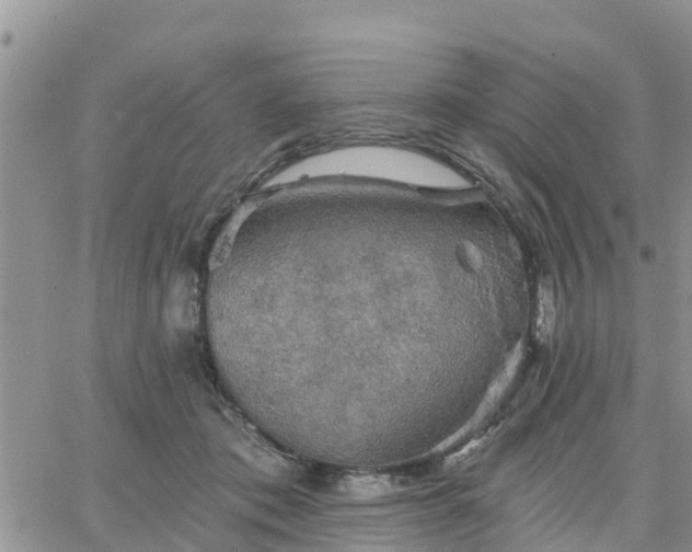 X0000064740413200602171712