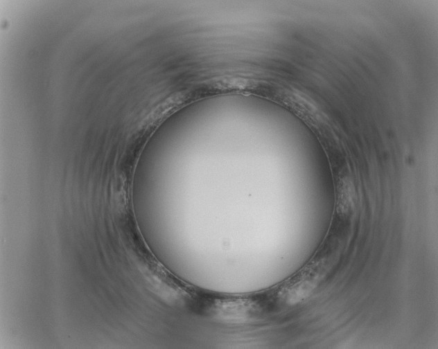 X0000064740414200602171712