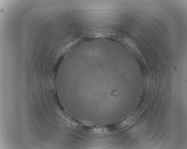 X0000064740415200602171712