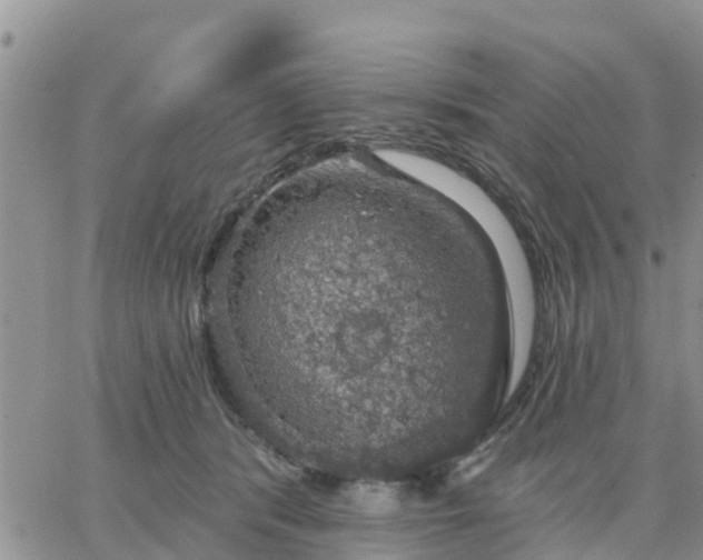 X0000064740416200602171712