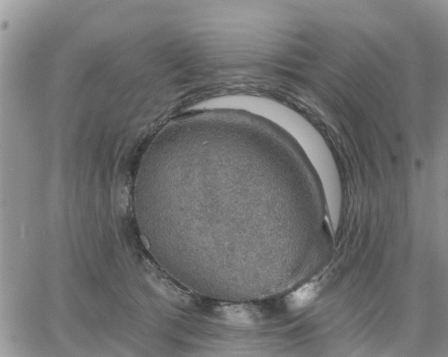 X0000064740417200602171712