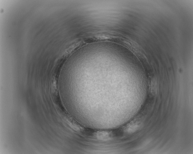 X0000064740418200602171712