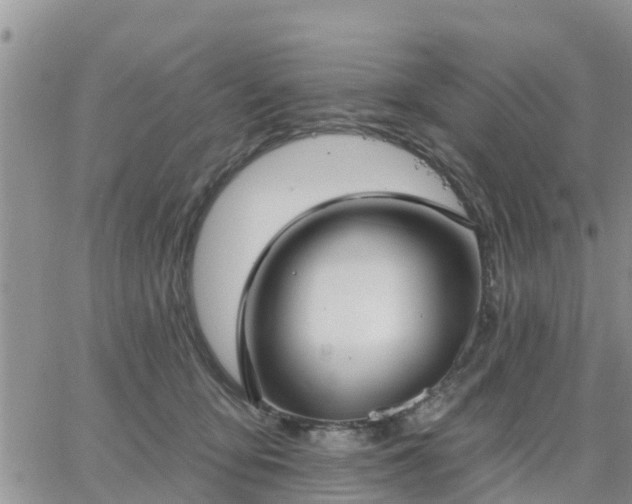 X0000064740419200602171712