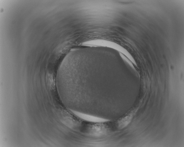 X0000064740420200602171712