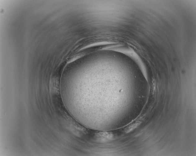 X0000064740421200602171712